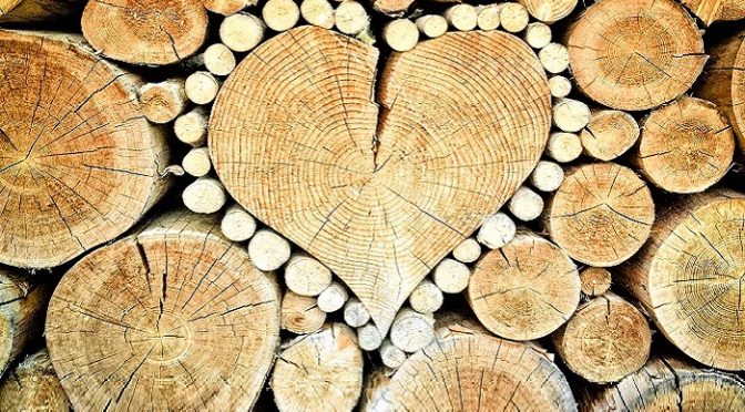 Hirnholz ist ein Garant für Massivholz